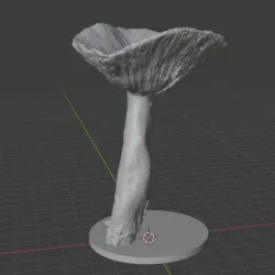 Lactarius #2