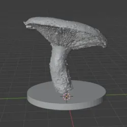 Lactarius #3