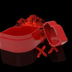 lips box : lips gift box