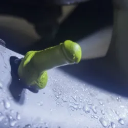Penis Valve Cap