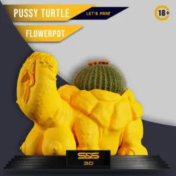 Pussy Turtle Flower Pot 🪴
