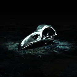 Realistic Raven Skull