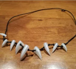 SHARK TOOTH NECKLACE