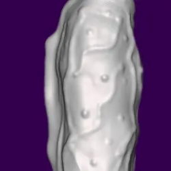 Zombie Cock Dick Dildo Sex Toy