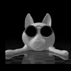 a cat