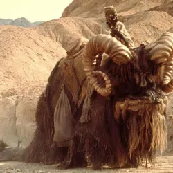 Bantha