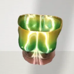 Boob Planter