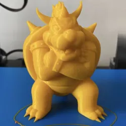 Bowser Mario Bross