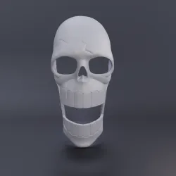 Brook One Piece mask - 3D printed model