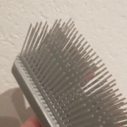 Brush Shoe Brush