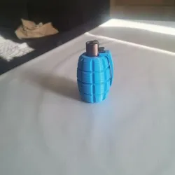 Clipper lighter case