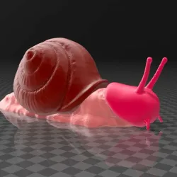 Cock snail