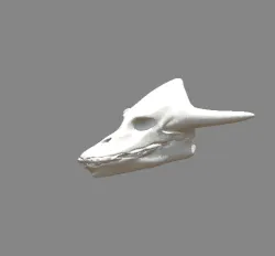 dragon skull