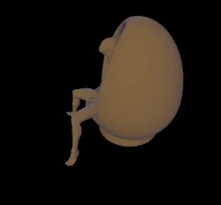 Eggchair Male 3 gay