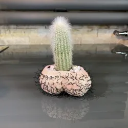 Hairy Balls Pot