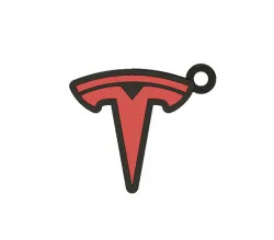 kEYCHAIN TESLA