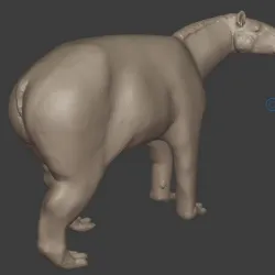 Moropus