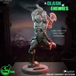 Njal Hardjaw, Half-giant Barbarian