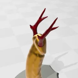 Penis with antlers Trophy / keys, jewelry holder