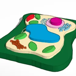 plant cell