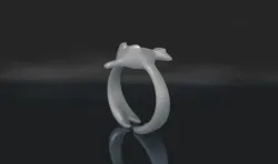 Pokemon - Wingull ring