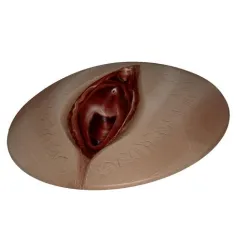 Realistic Vagina Orgasm  Pussy desktop Decor Tiket Vulva Decorative wall mount relief   3d print cnc
