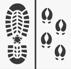Santa Claus Footprint