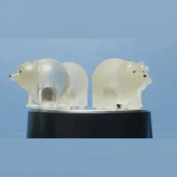 Two fridge magnets in bear shape