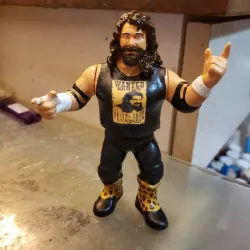 wwf wwe aew ecw wcw