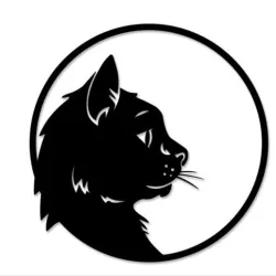 Black Cat