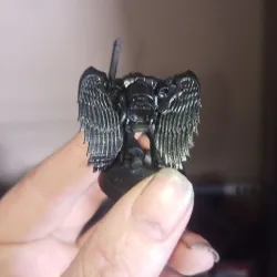 Blood wings jump pack