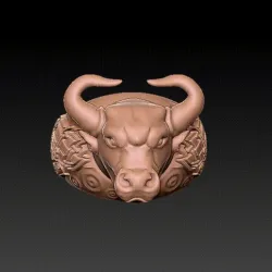 Bull ring