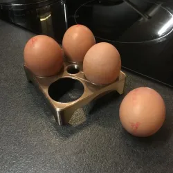 Chicken Egg Holder