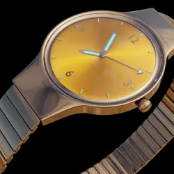classic watch