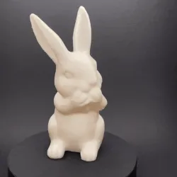 Easter Bunny