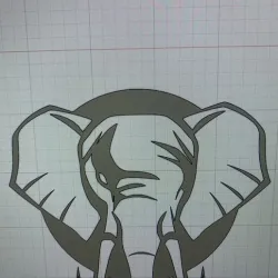 Elephant closing one eye.