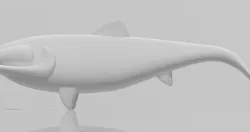 Fish shape soft lure mold