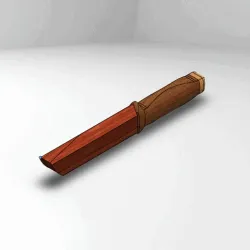 Knife with wooden scabbard