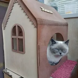 Laser Cut Wooden Cat House