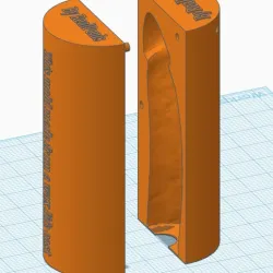 Mold of my penis