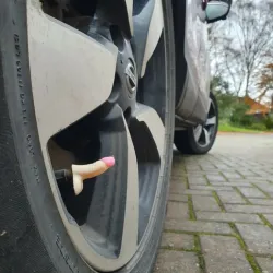 Pene Valve Cap Tyre