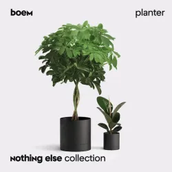 Plant Something