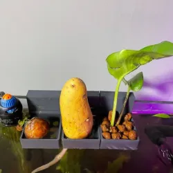 pot or basket for plants/sweet potatoes aquarium
