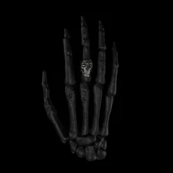 Skeleton Hand