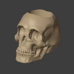 Skull Pot Plant