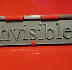 Visible Invisible Flag