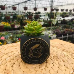 Zodiac Aquarius Planter Pot
