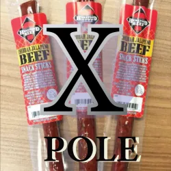 10th Legion Vexillum with pole