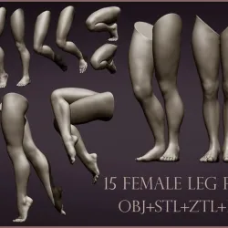 15 female leg poses