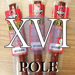 16th legion vexillum good guys with pole